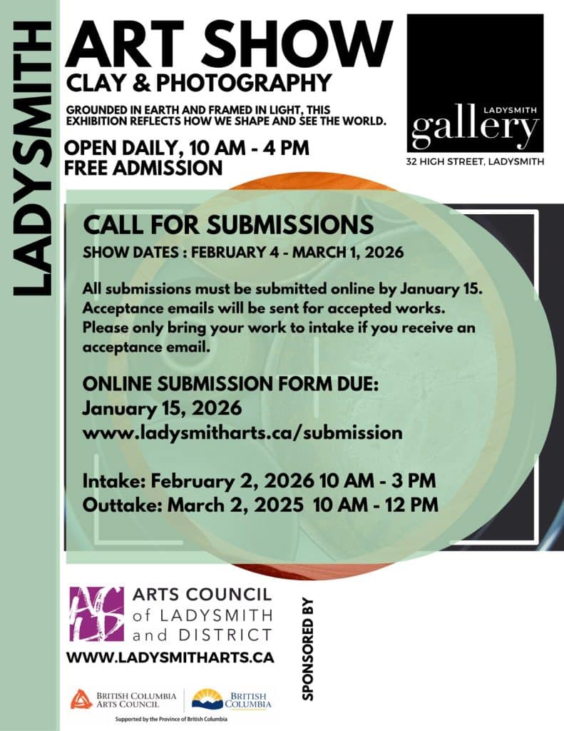 Ladysmith Gallery February 2026 show call for entry poster