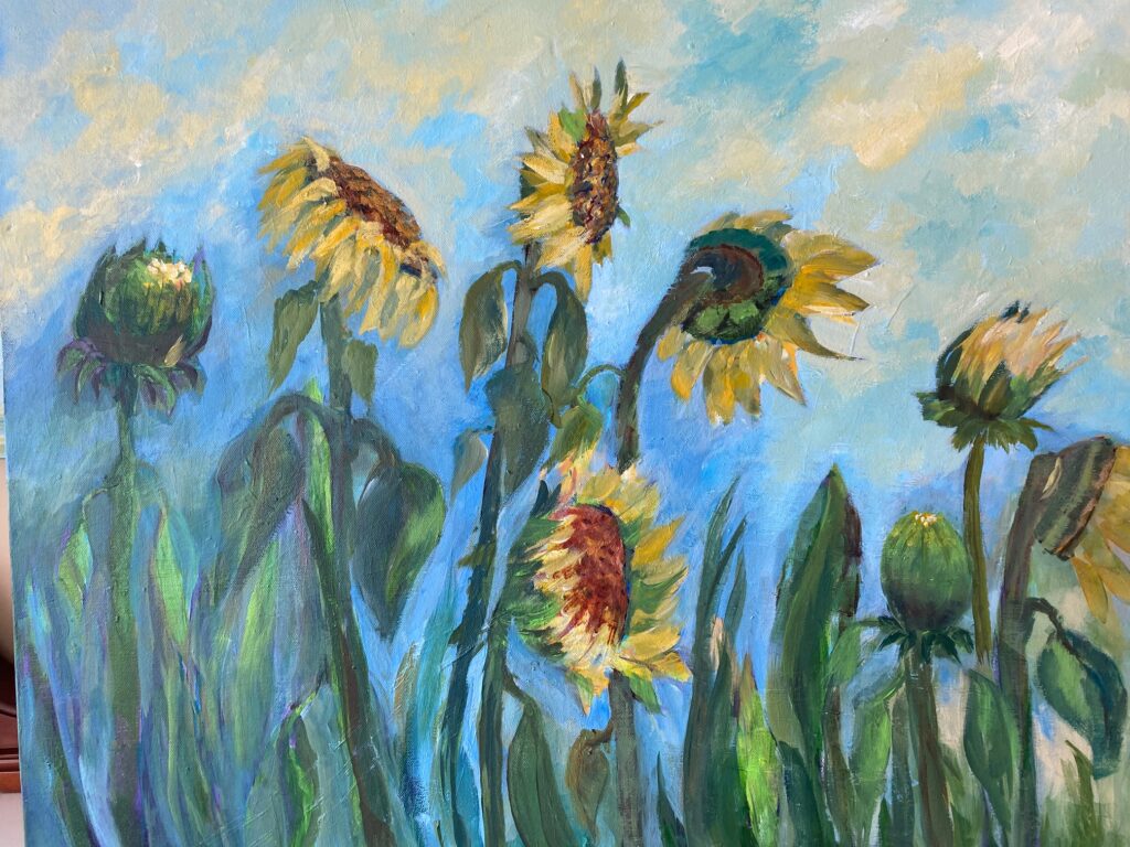 Summer sunflowers